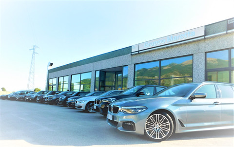 Gruppo Marotta Srl Logo