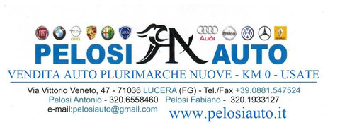 Pelosi Auto srls Logo