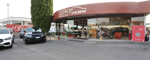 Gruppo D'Albero srl Logo