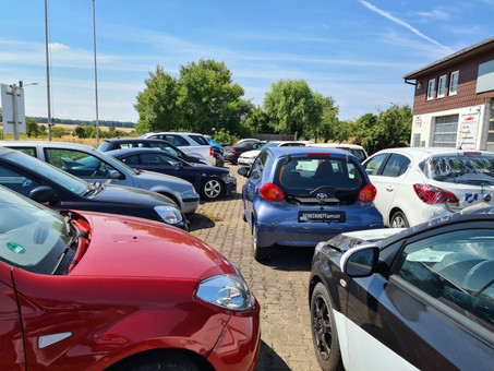 Kekec- Automobile Logo