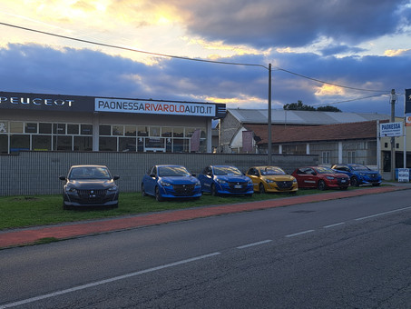 Paonessa Peugeot Logo