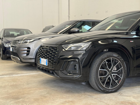 Leonessa Motori di Steko Sandro Logo