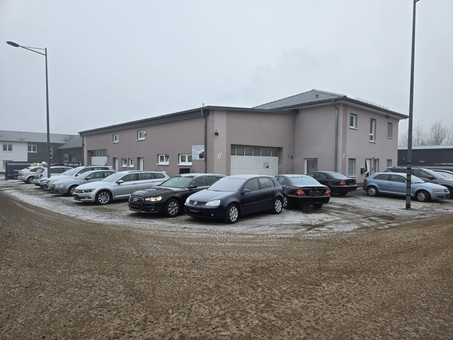 RUDI AUTOMOBILE Logo