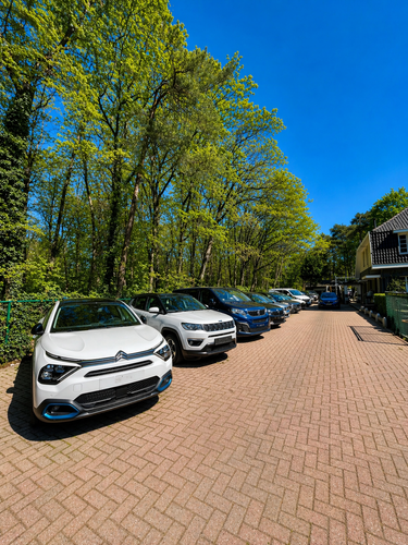 dealer showroom