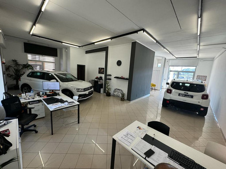 SM Auto S.N.C. Di M. Mallozzi E E. Sevri Logo