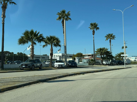 Perchinunno Stefano Logo