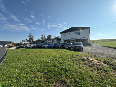 Automobile Diermaier GmbH Logo