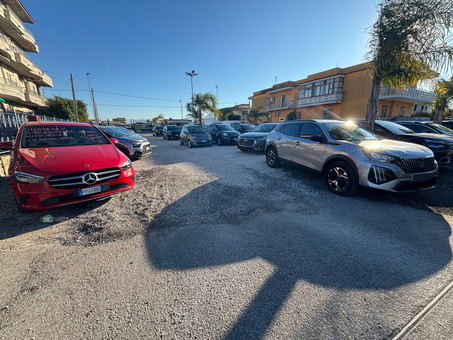 Gruppo Palmieri srl Logo