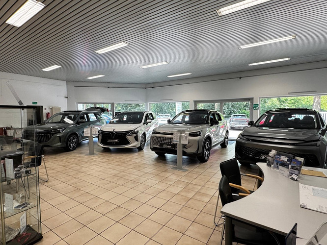 dealer showroom