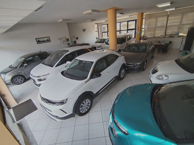 dealer showroom
