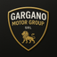 Dealer logo image