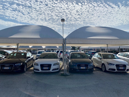 New Sky Car Srl Logo