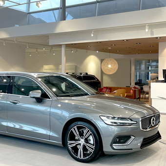 Moll GmbH & Co. KG Logo