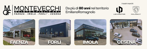 Montevecchi Quinto & Figlio Srl Logo