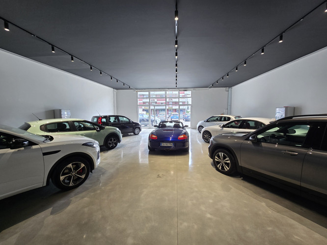 dealer showroom