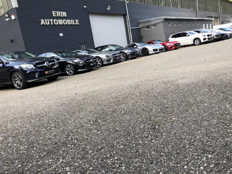 Erin A. Automobile Logo