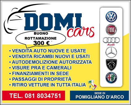 Do.Mi. Cars Srl Logo