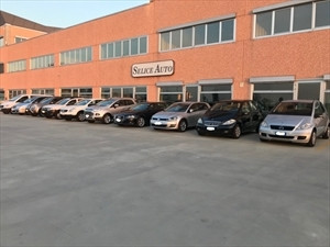 Selice Auto Srl Logo