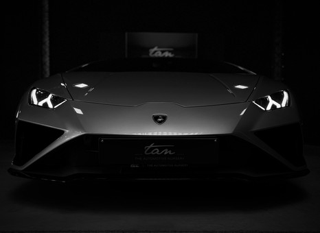 TAN - The Automotive Nursery Logo