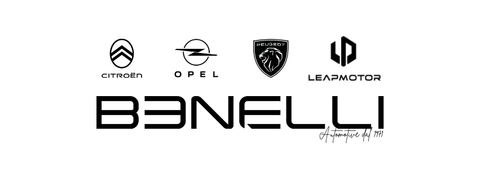 F.lli Benelli Srl Logo