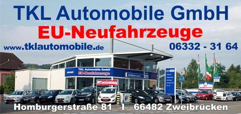 Autohandler Autohauser In Blieskastel Autoscout24