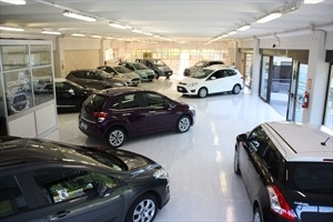 Dm Auto Di Dal Zotto & Mafera Snc Logo