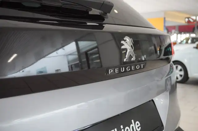 Peugeot 3008 view 10