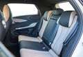 BYD Dolphin Design Gris - thumbnail 11