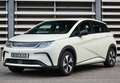 BYD Dolphin Design Gris - thumbnail 3