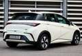 BYD Dolphin Design Gris - thumbnail 14
