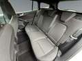Ford Focus Turnier 1.0 EcoBoost ST-Line X 2xKlima ACC Weiß - thumbnail 14