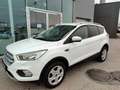 Ford Kuga 2,0 TDCi Trend Weiß - thumbnail 1