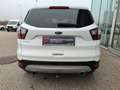 Ford Kuga 2,0 TDCi Trend Weiß - thumbnail 4
