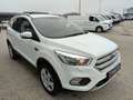 Ford Kuga 2,0 TDCi Trend Weiß - thumbnail 6