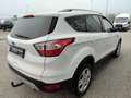 Ford Kuga 2,0 TDCi Trend Weiß - thumbnail 5