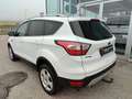 Ford Kuga 2,0 TDCi Trend Weiß - thumbnail 3