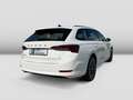 Skoda Octavia Combi 1.4TSI iV DSG Ambition AHK-Vor.Cam Wit - thumbnail 4