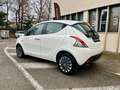 Lancia Ypsilon PRIMO PREZZO IN ITALIA - 1.3 MJT Bianco - thumbnail 3