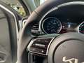 Kia Ceed SW / cee'd SW ceed SW 1,0 T-GDI GPF ISG Silber| Stahl Wien 22 Alb - thumbnail 13