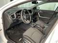 Kia Ceed SW / cee'd SW ceed SW 1,0 T-GDI GPF ISG Silber| Stahl Wien 22 Alb - thumbnail 7