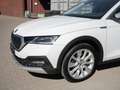 Skoda Octavia Combi 2.0 TDI Scout DSG 4x4 AHK+HUD+MATRIX+RFK Weiß - thumbnail 3