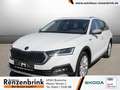 Skoda Octavia Combi 2.0 TDI Scout DSG 4x4 AHK+HUD+MATRIX+RFK Weiß - thumbnail 1