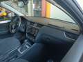 Skoda Octavia Wagon 1.6 tdi cr Executive 105cv dsg - thumbnail 4
