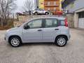 Fiat Panda Panda III 2016 1.2 Easy KM Certificati, Come Nuova Grigio - thumbnail 9