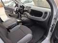 Fiat Panda Panda III 2016 1.2 Easy KM Certificati, Come Nuova Grigio - thumbnail 12
