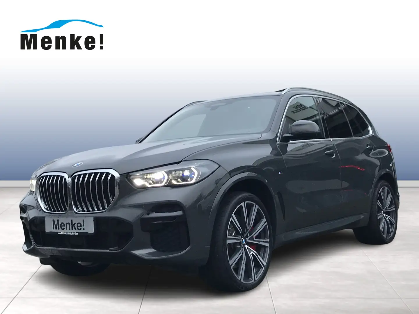 BMW X5 xDrive40d M Sportpaket Head-Up HK HiFi DAB Grau - 1