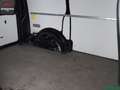 Volkswagen T6 Transporter T6 Transporter T6.1 2.0 TDI KASTEN LED,KLIMA,18Z Schwarz - thumbnail 11