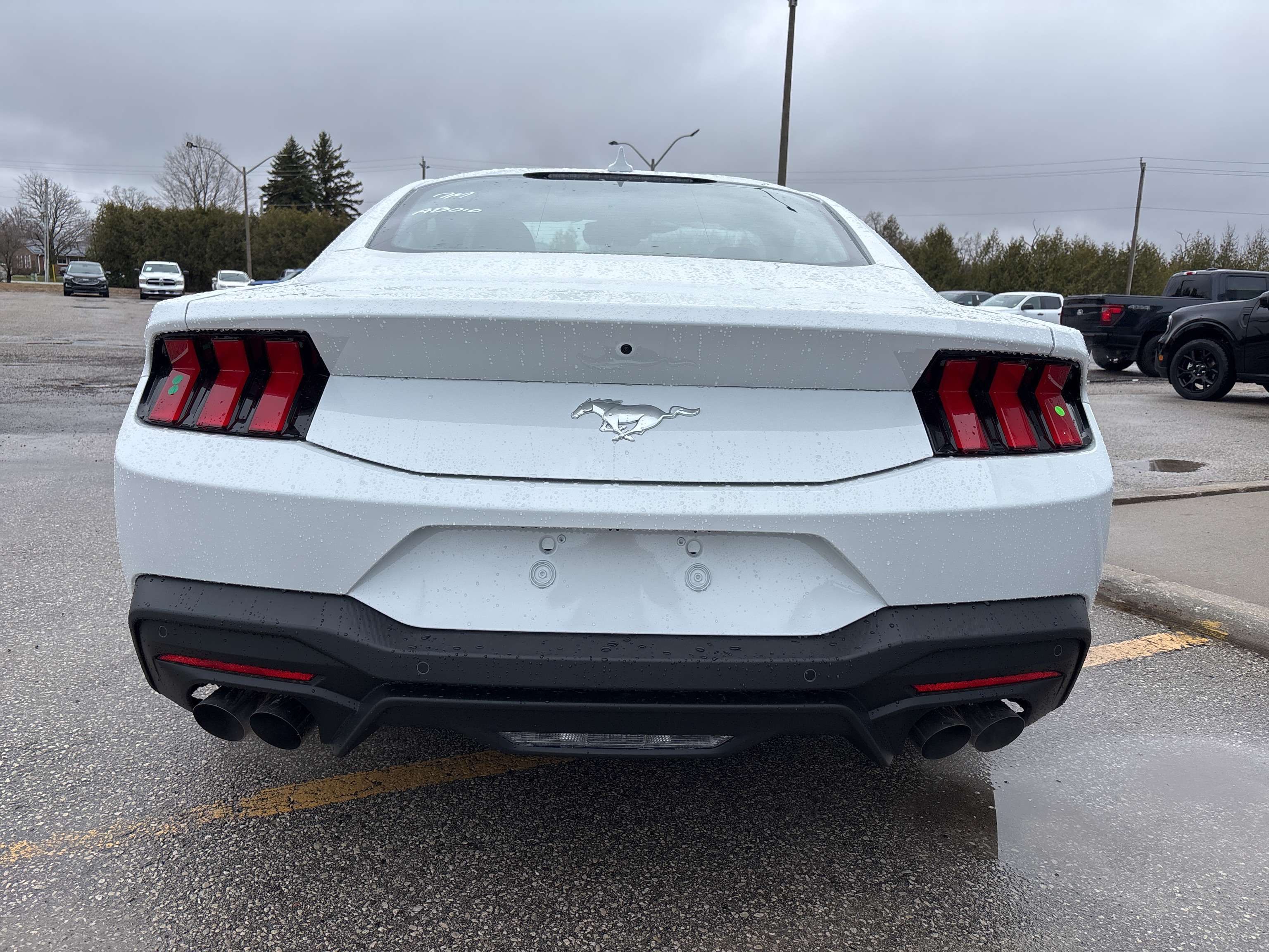2026 Ford Mustang ECOBOOST — снимка 1