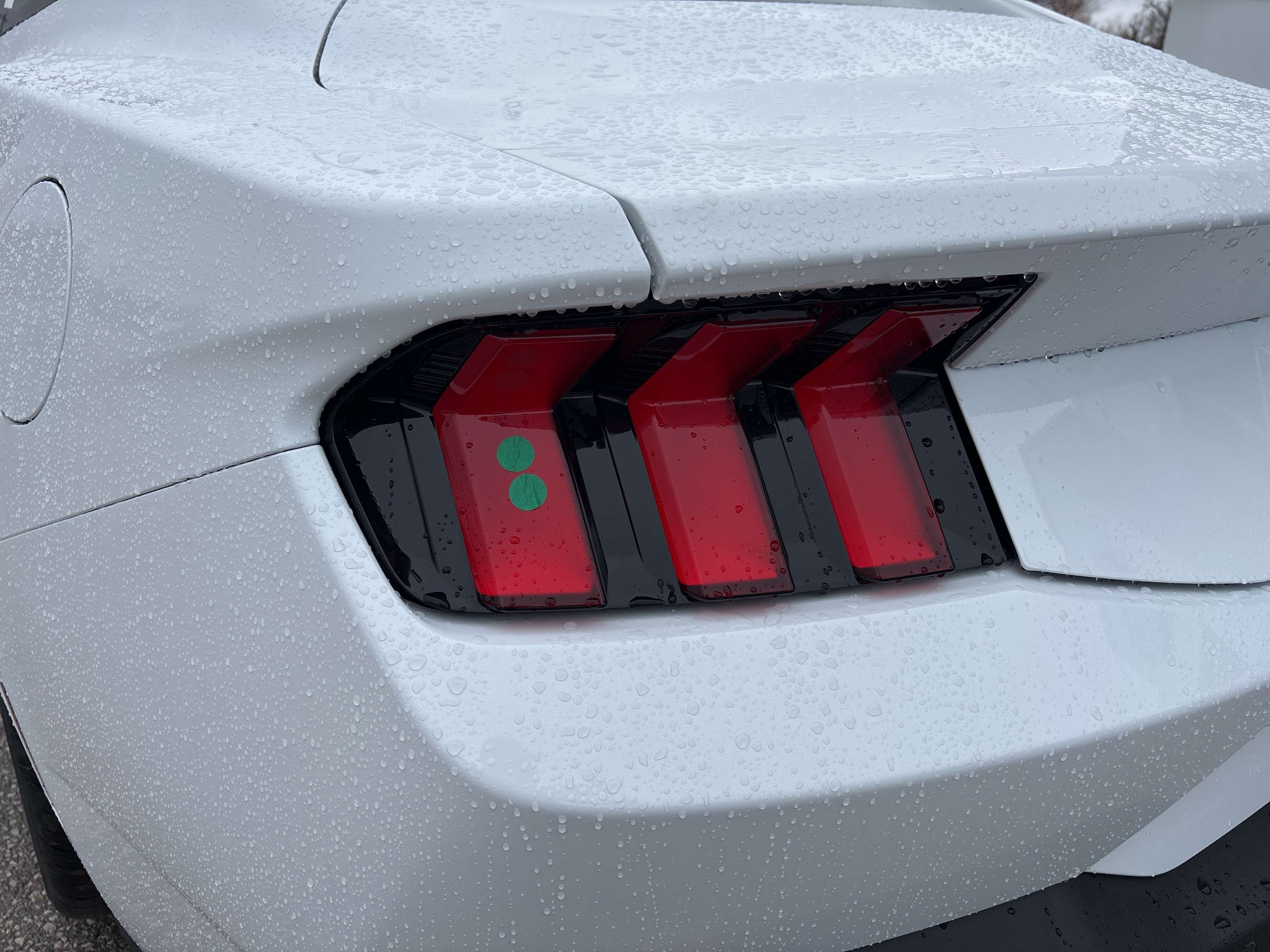 2026 Ford Mustang ECOBOOST — снимка 1