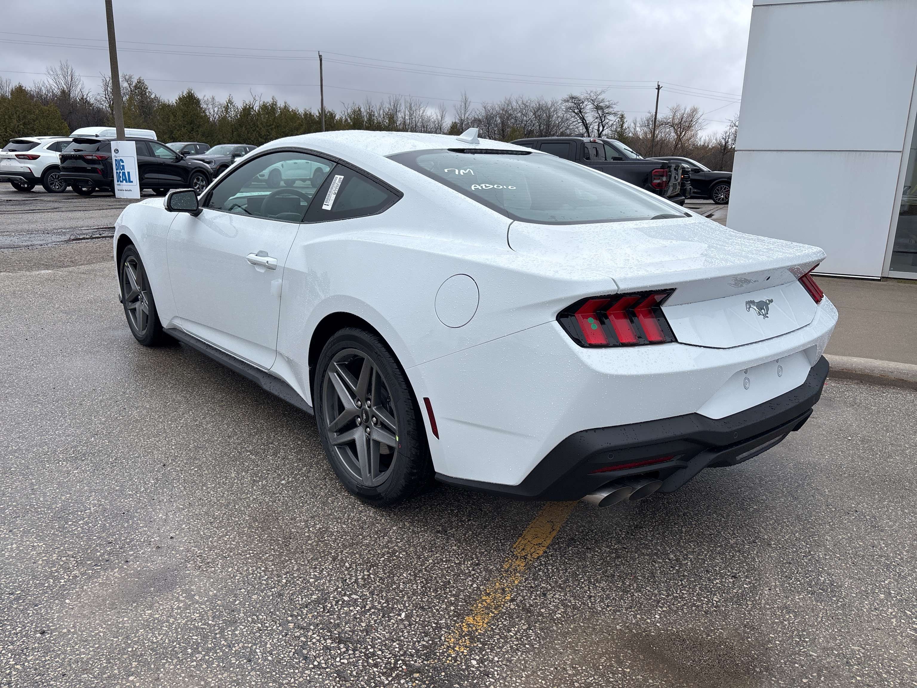 2026 Ford Mustang ECOBOOST — снимка 1
